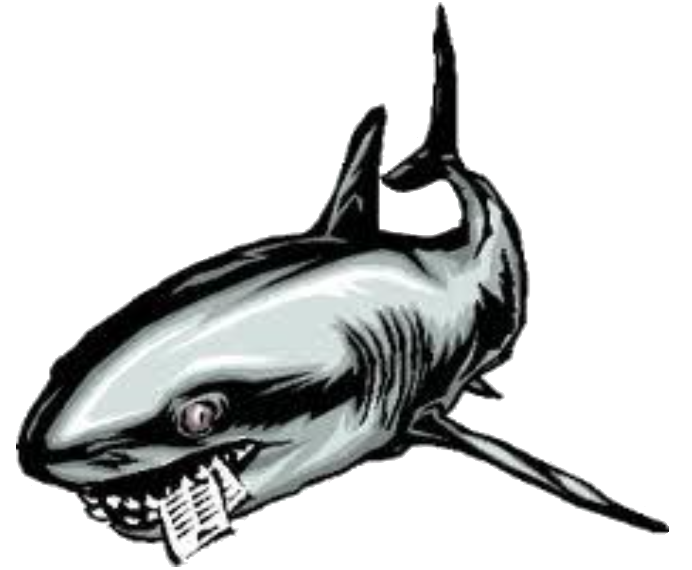 CMB Shark Logo